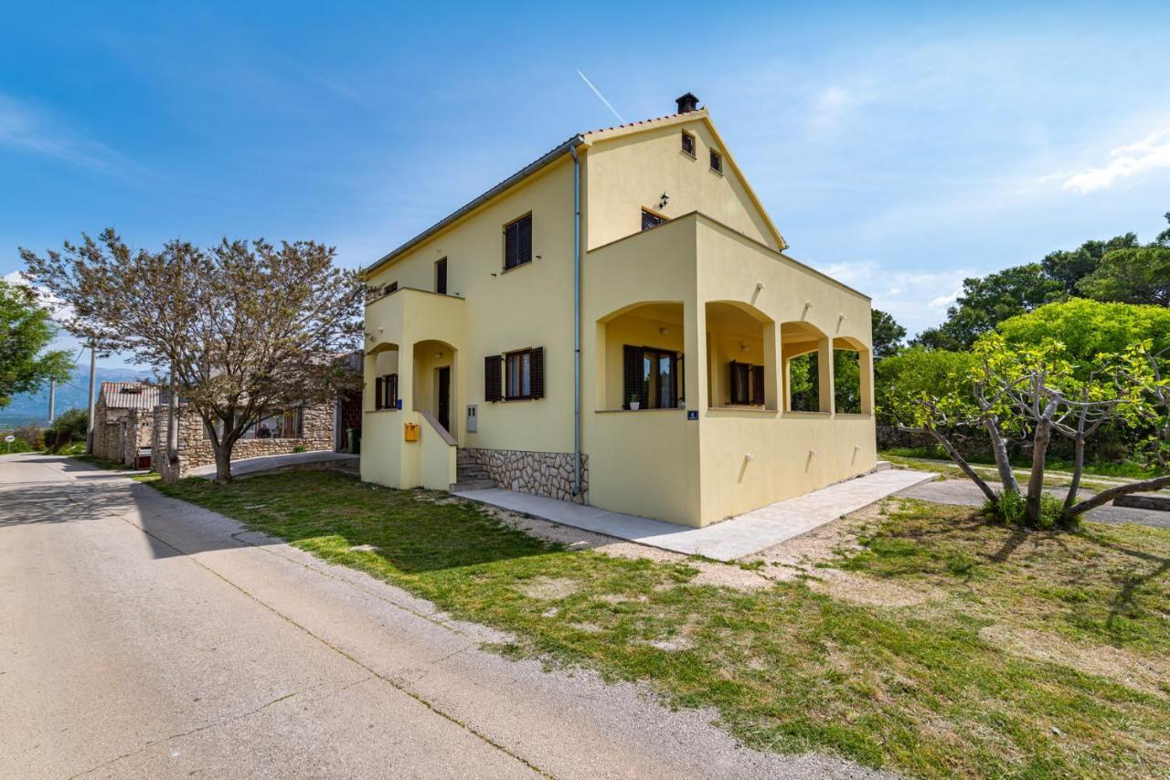 Apartment Marija Novigrad  Zewnętrze zdjęcie