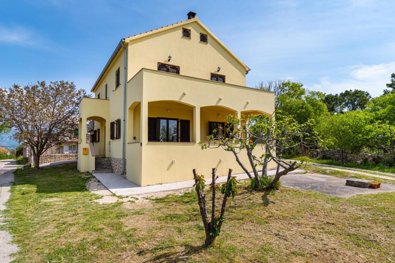 Apartment Marija Novigrad  Zewnętrze zdjęcie